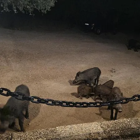 Turistico El Pantano De Cazorla Θέρετρο Coto Rios